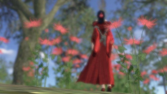 PNG ,GIF , JPG ,的区别有哪些?